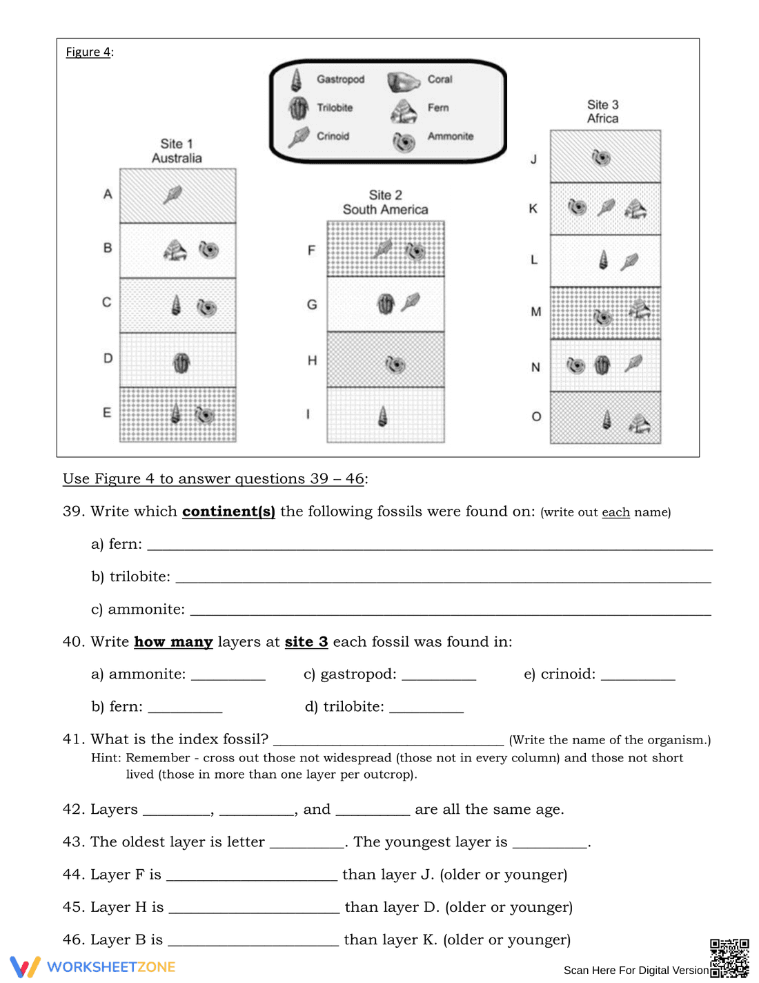 Explore Fossils with this Engaging Worksheet - Page 5