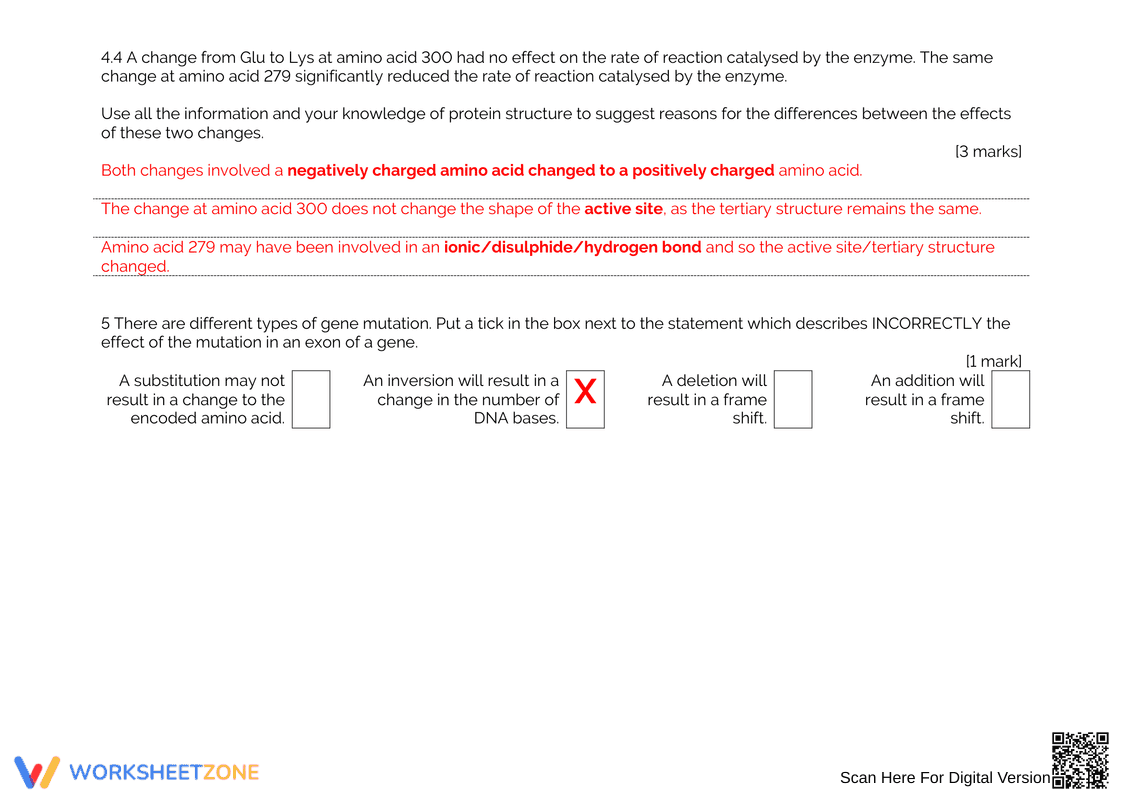 Protein Synthesis Answers Worksheet: Check Your Knowledge - Page 5