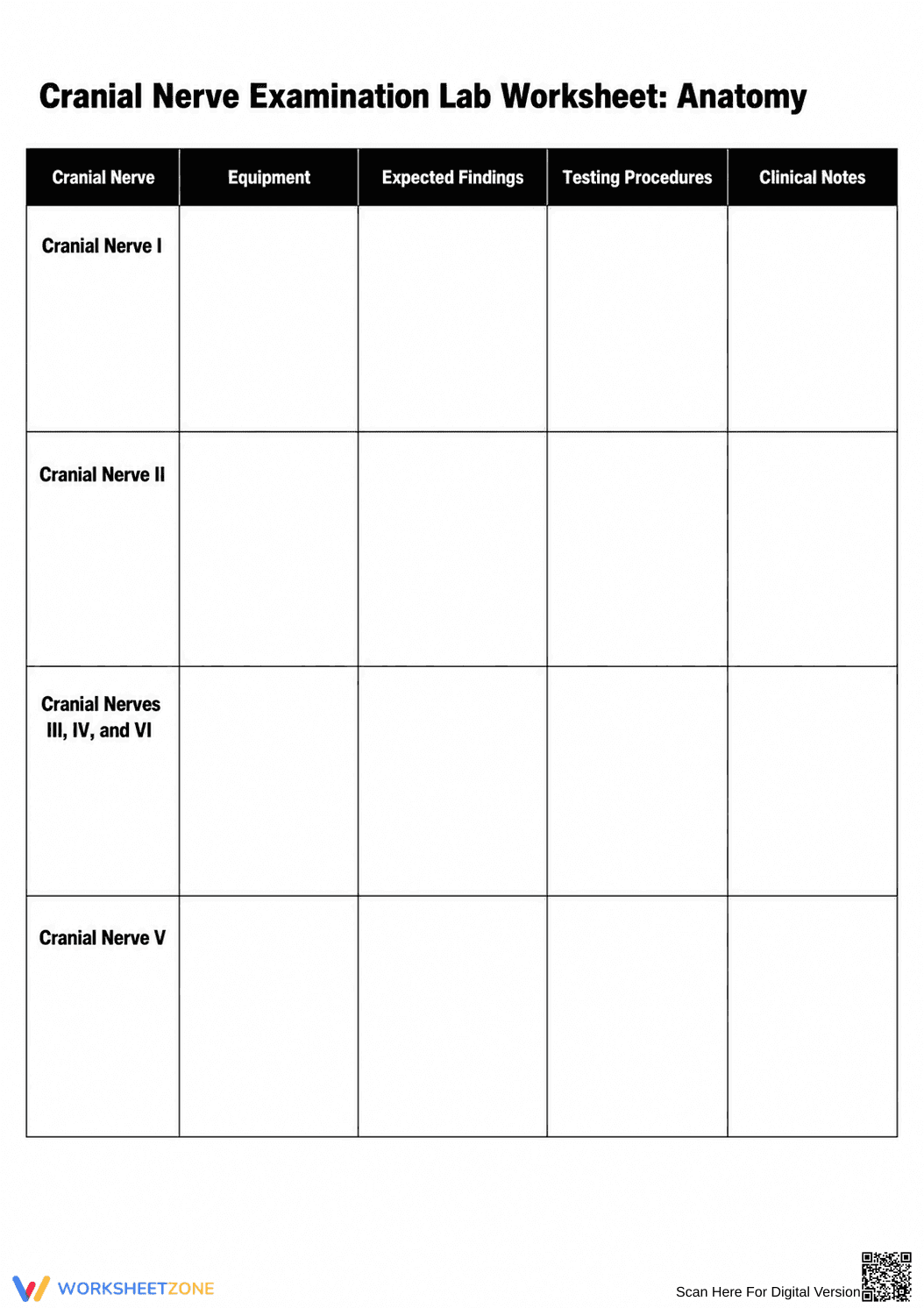 Essential Cranial Nerve Lab Worksheet | Grades 10-12 - Page 2