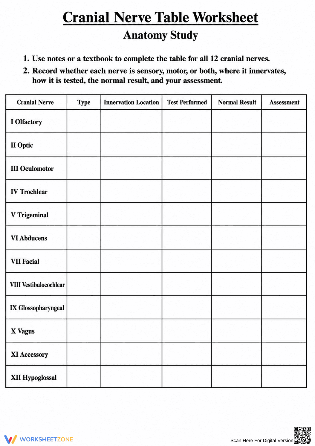 Printable Cranial Nerves Worksheet | Grades 10-12 Biology - Page 3