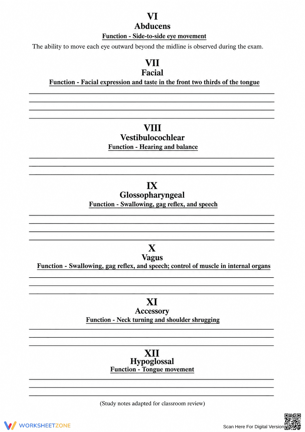 Printable Cranial Nerves Worksheet | Grades 10-12 Biology - Page 4
