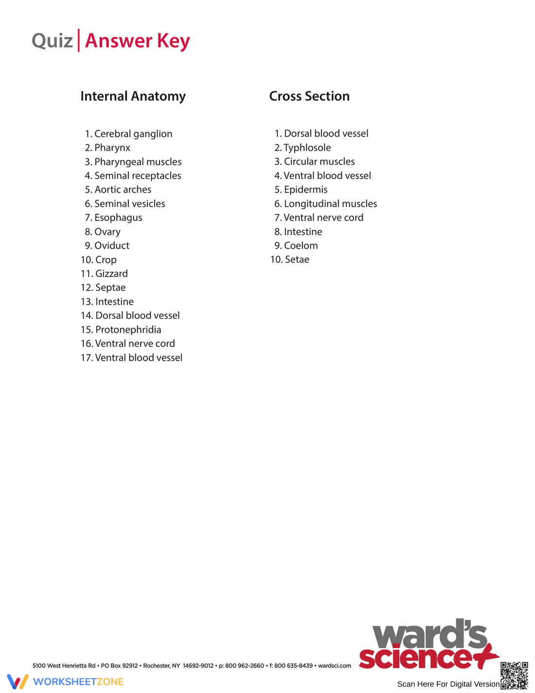Complete Earthworm Dissection Guide | Grades 9-12 Biology - Page 8