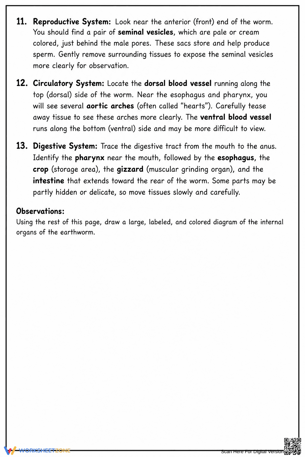 Earthworm Dissection Lab Guide | Essential Biology Worksheet - Page 2
