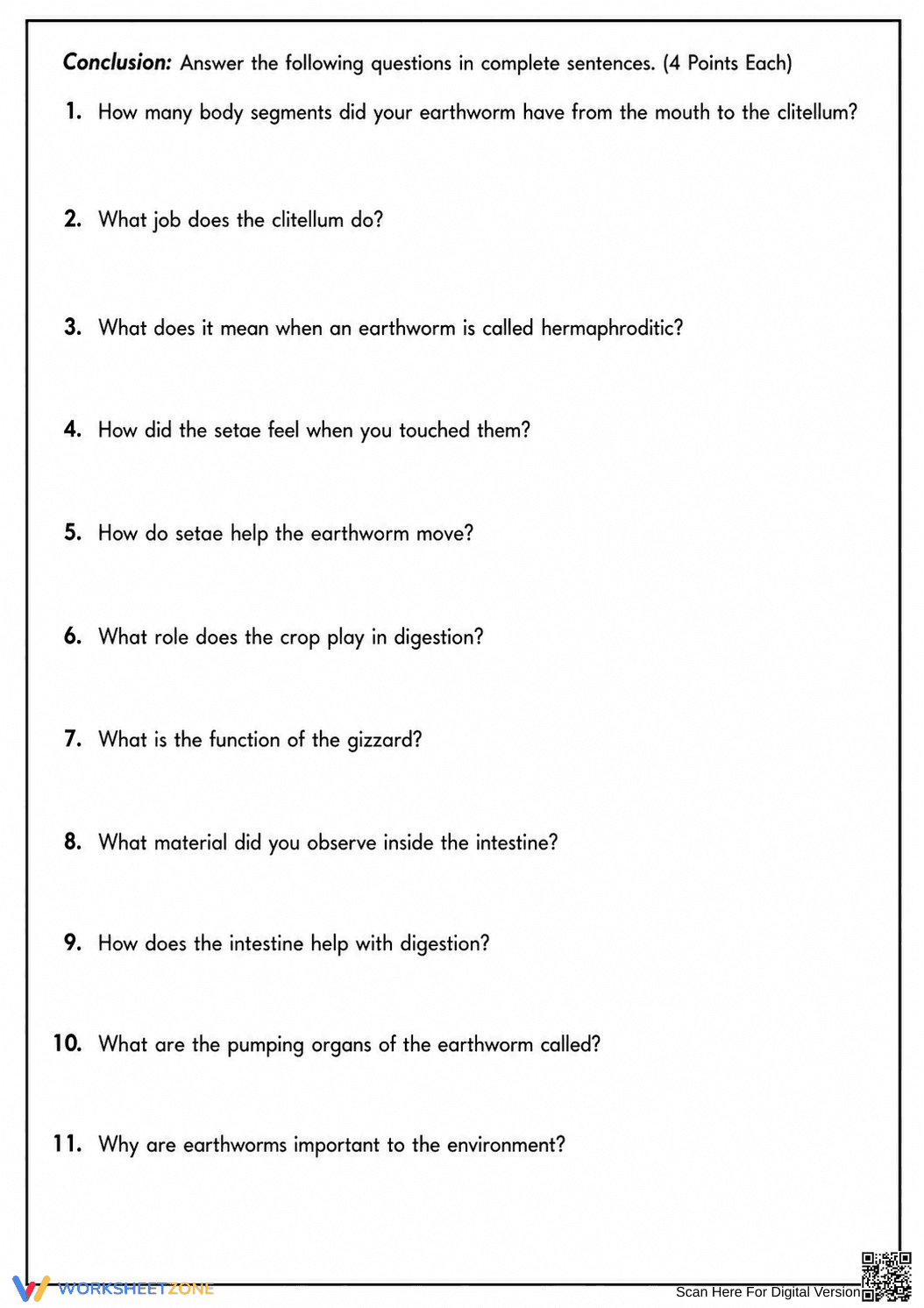 Earthworm Dissection Lab Guide | Essential Biology Worksheet - Page 3