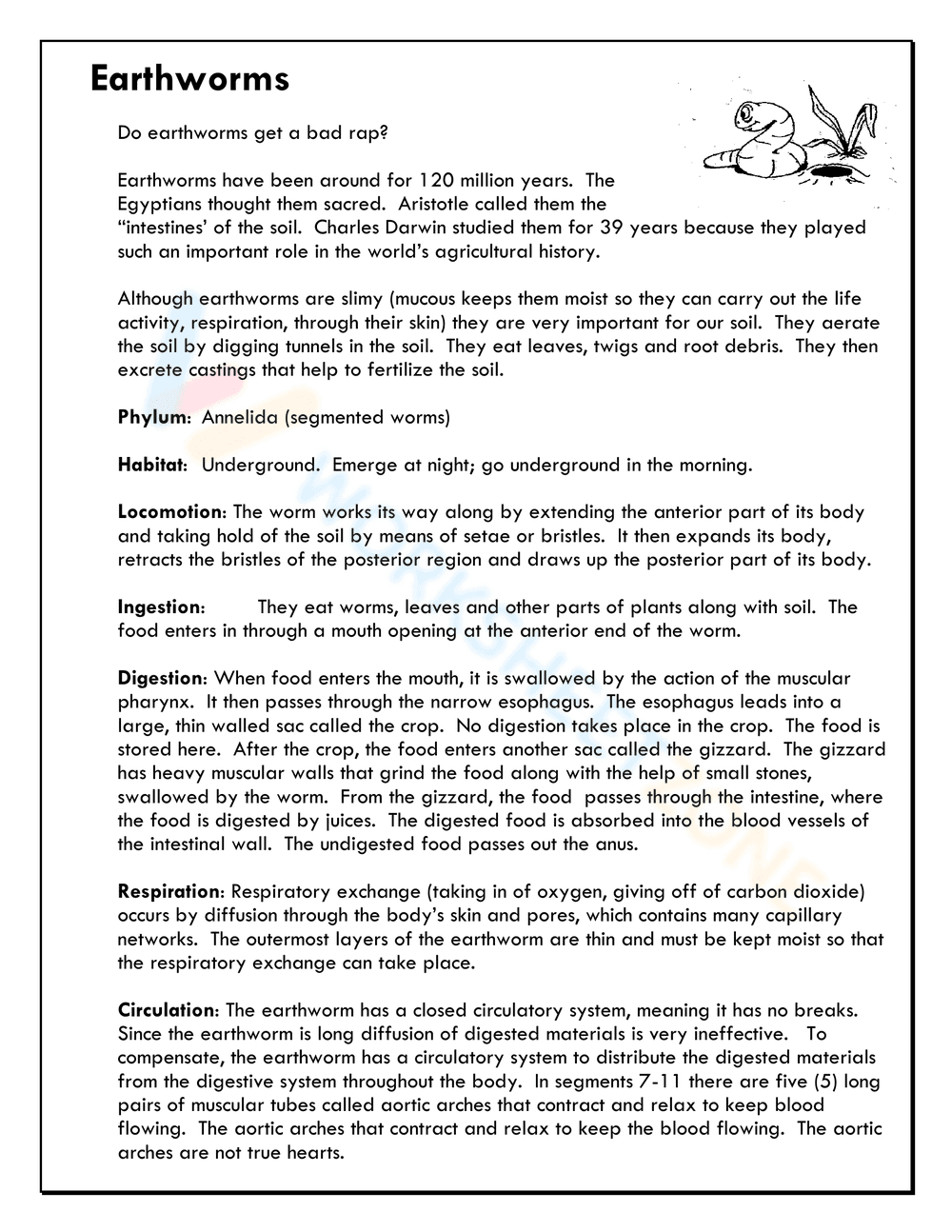Earthworm Anatomy Dissection Worksheet - Page 6