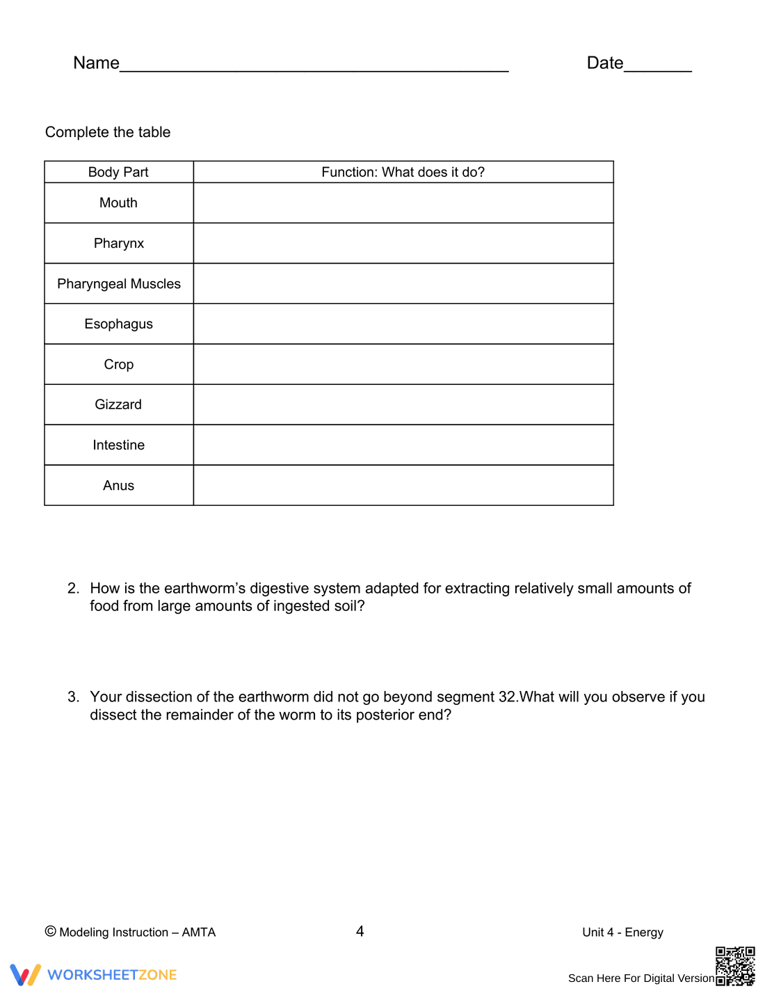 Earthworm Dissection Worksheet: Biology Lab - Page 4
