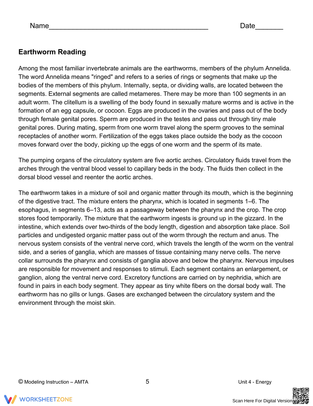 Earthworm Dissection Worksheet: Biology Lab - Page 5