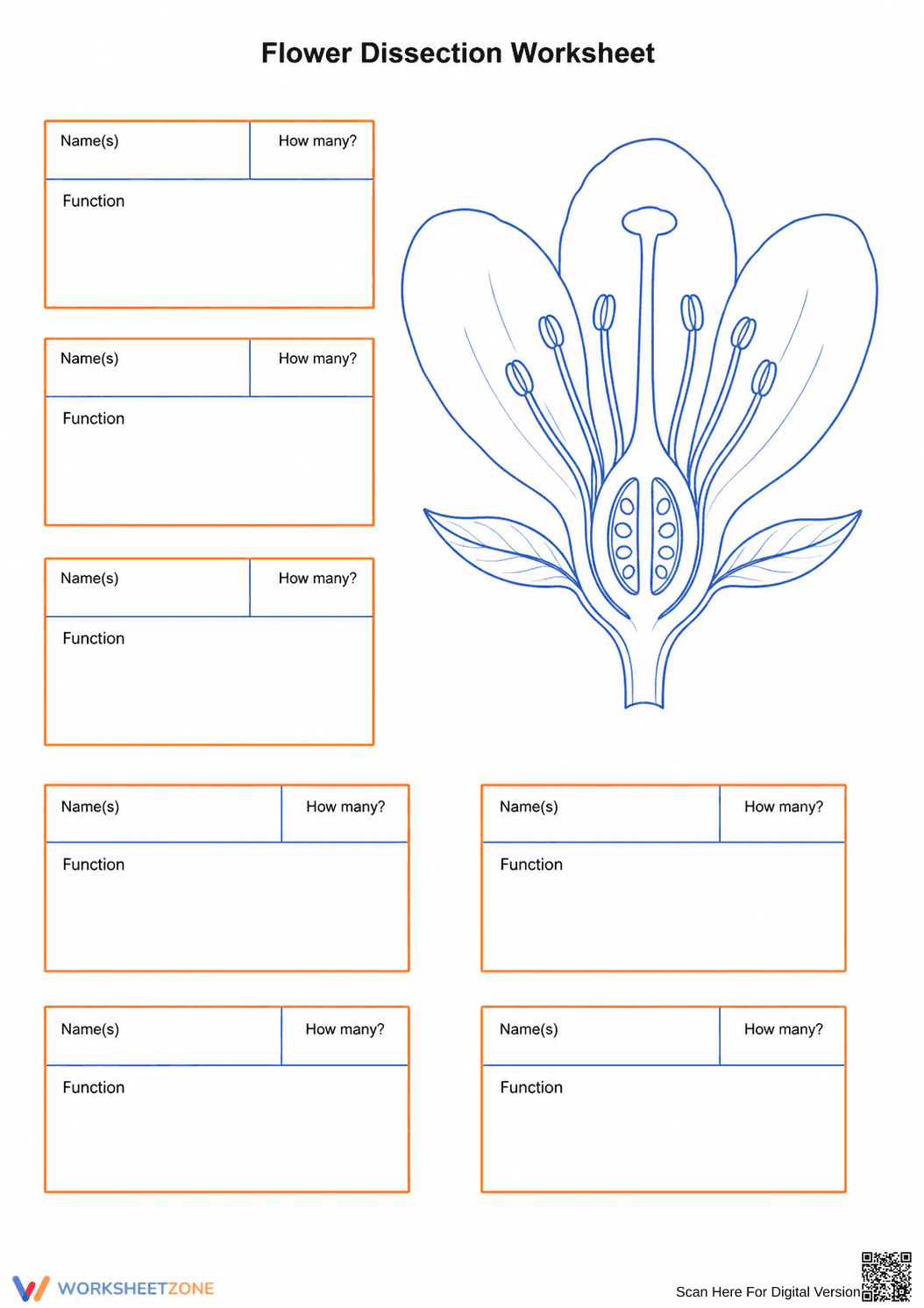 Printable Flower Dissection Worksheet | Grades 9-11 - Page 2