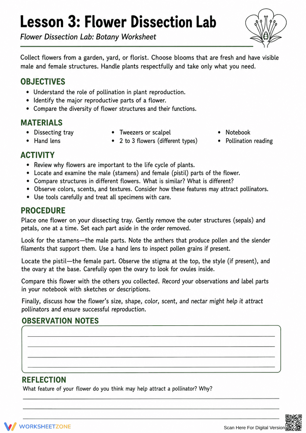 Flower Dissection Lab Worksheet (3 Levels) | Grade 10 Ready - Page 2