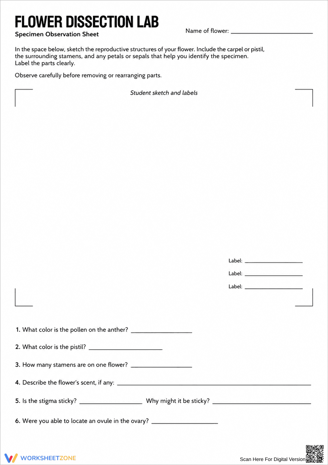Flower Dissection Lab Worksheet (3 Levels) | Grade 10 Ready - Page 5