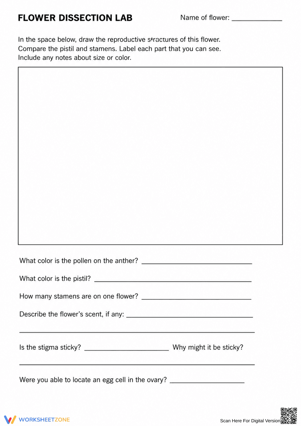 Flower Dissection Lab Worksheet (3 Levels) | Grade 10 Ready - Page 6