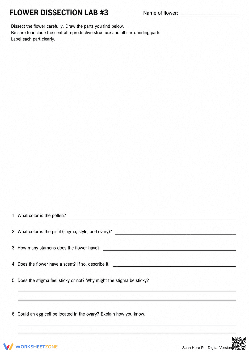 Flower Dissection Lab Worksheet (3 Levels) | Grade 10 Ready - Page 7