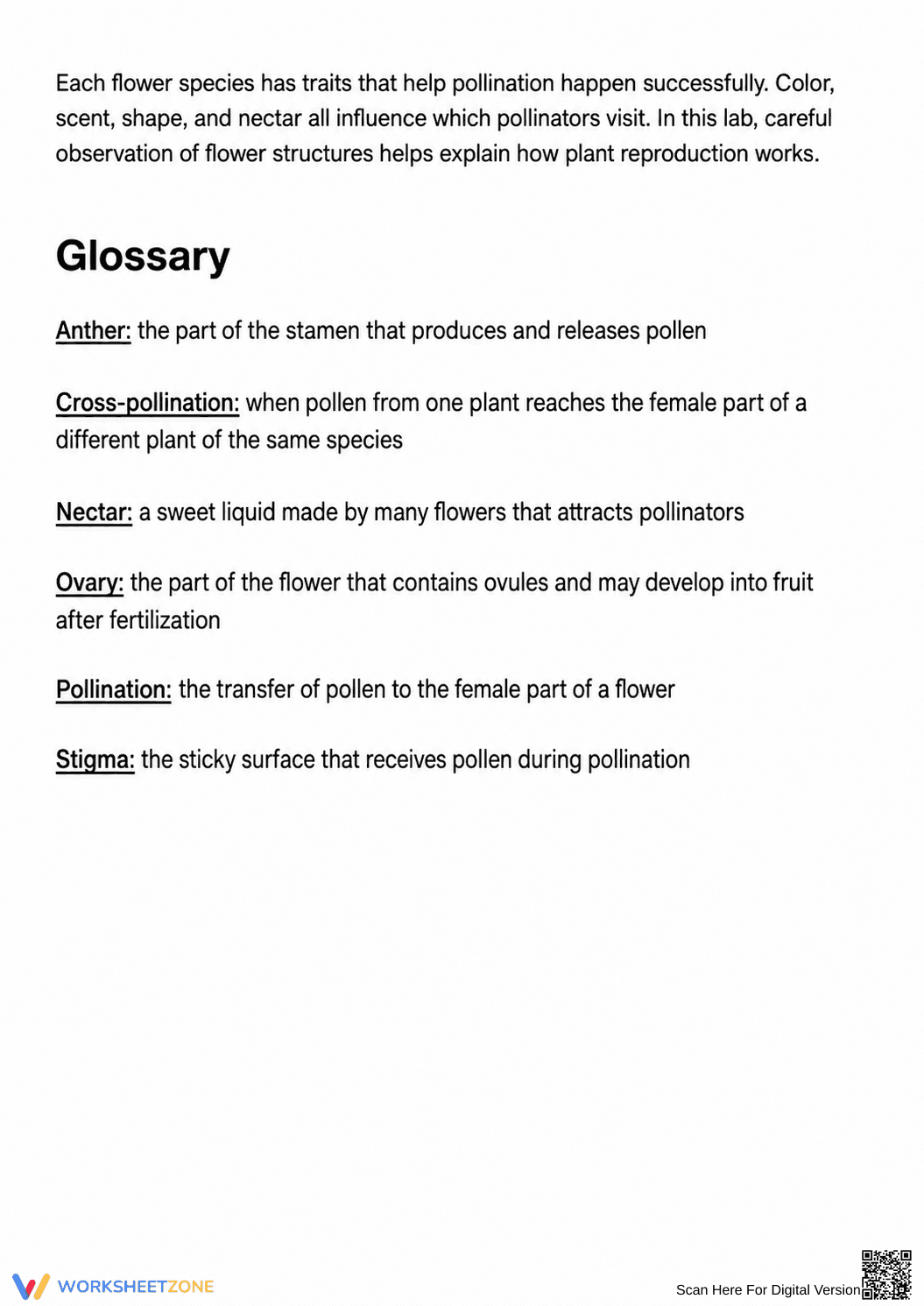 Flower Dissection Lab Worksheet (3 Levels) | Grade 10 Ready - Page 12