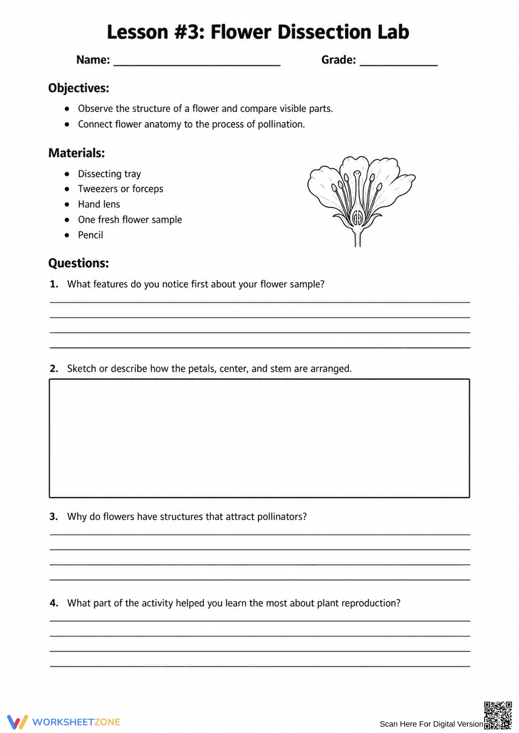 Flower Dissection Lab Worksheet (3 Levels) | Grade 10 Ready - Page 13