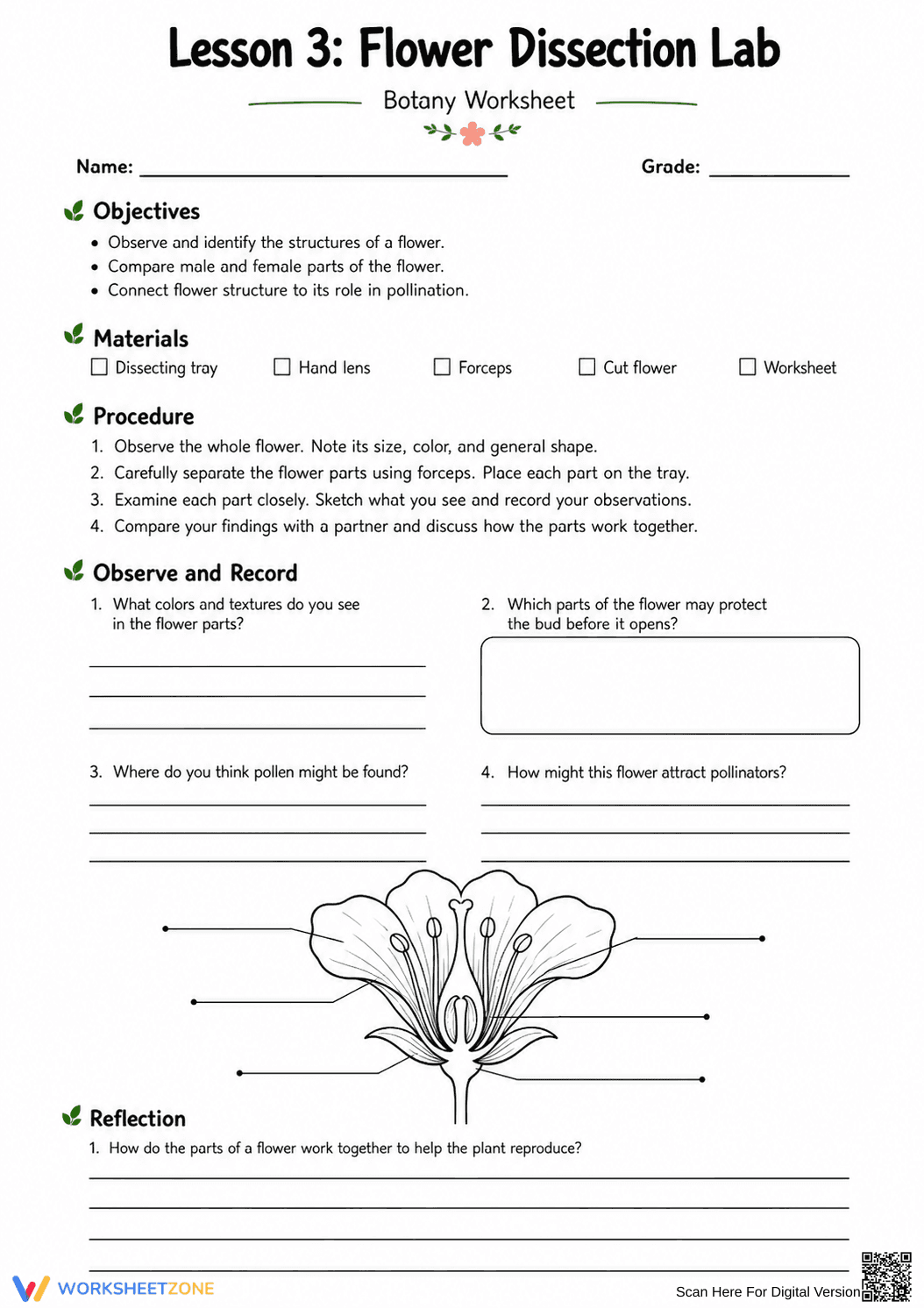 Flower Dissection Lab Worksheet (3 Levels) | Grade 10 Ready - Page 14