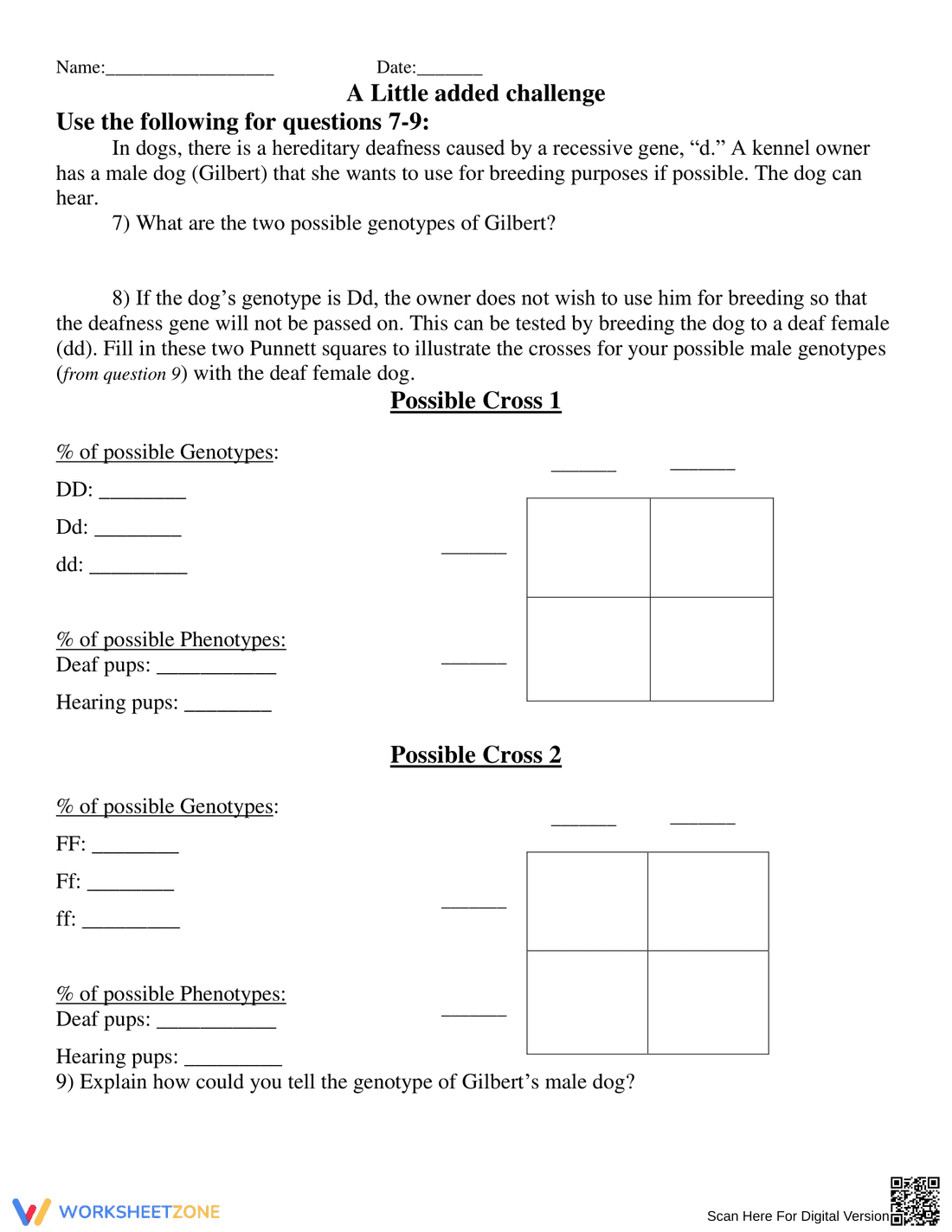 Printable Punnett Square Worksheet | Grade 10 Biology - Page 3