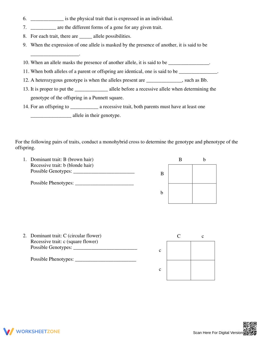 Monohybrid Punnett Square Practice - Page 2