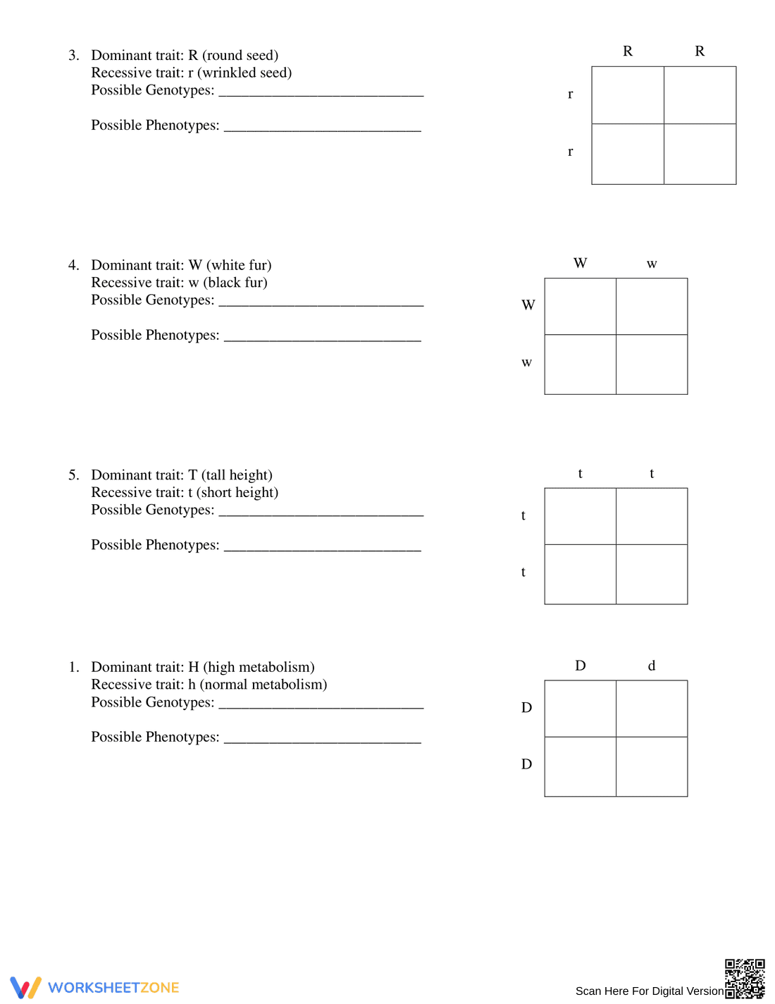 Monohybrid Punnett Square Practice - Page 3