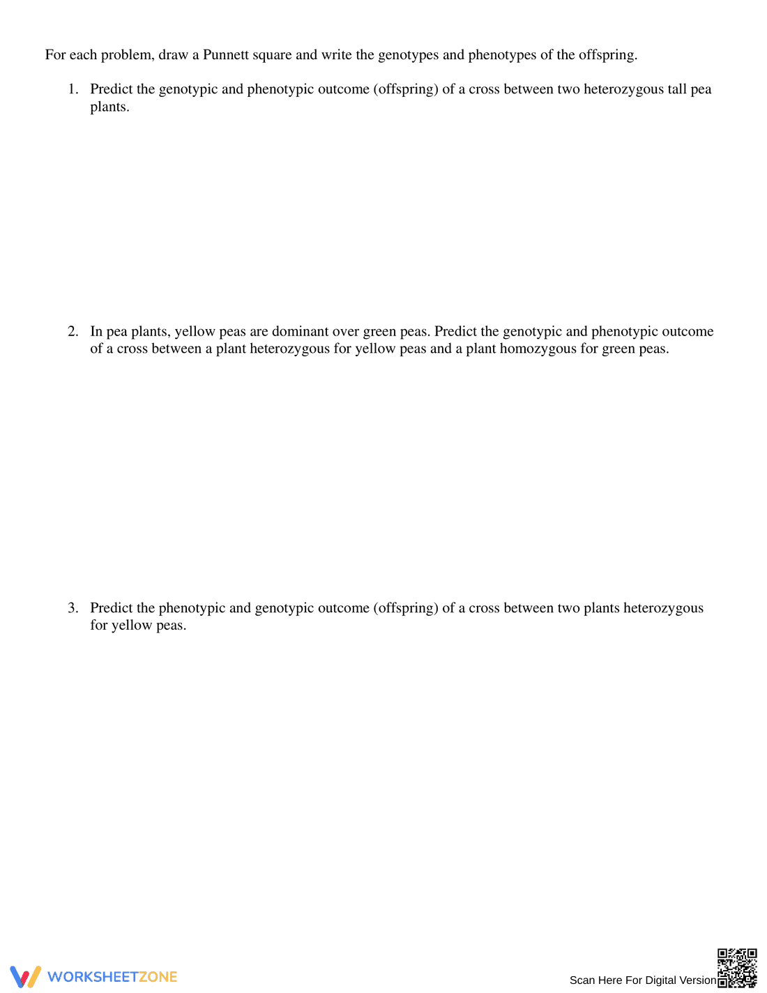 Monohybrid Punnett Square Practice - Page 4