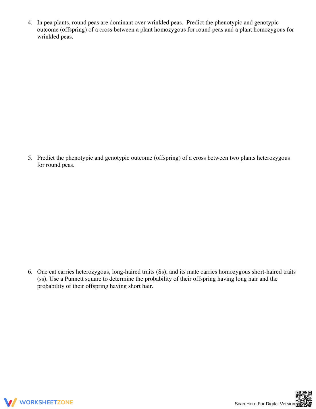 Monohybrid Punnett Square Practice - Page 5