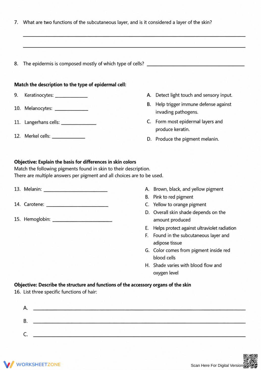 Essential Integumentary System Review | Grade 9 Biology - Page 2