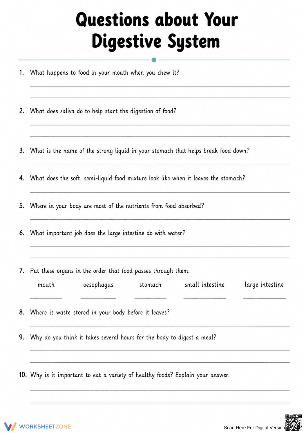 Digestive System Anatomy Worksheet | Grade 7 Essential - Page 2