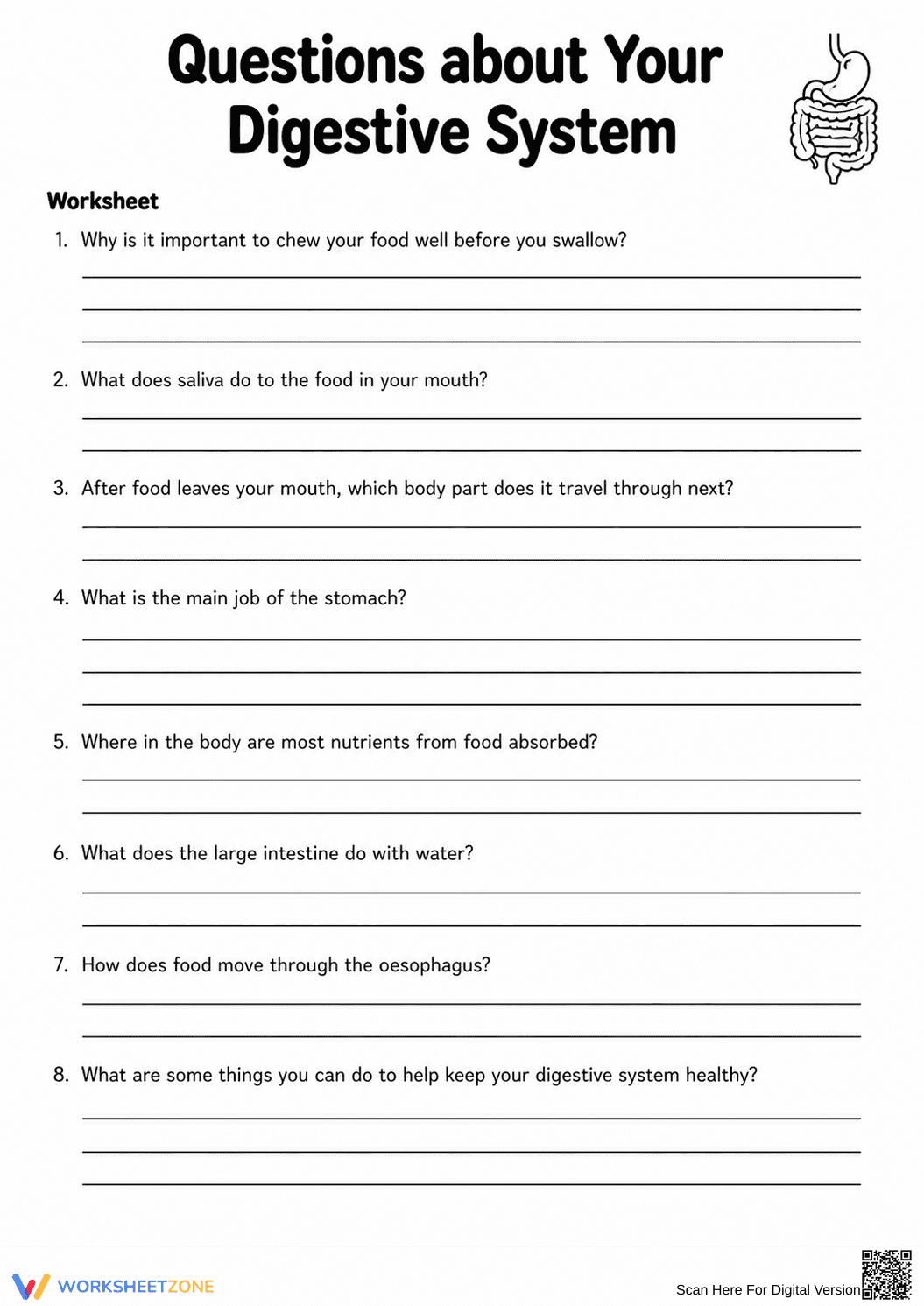 Digestive System Anatomy Worksheet | Grade 7 Essential - Page 3