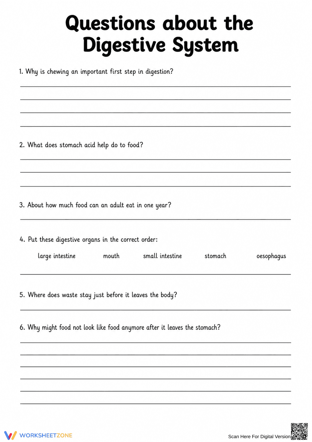 Digestive System Anatomy Worksheet | Grade 7 Essential - Page 5