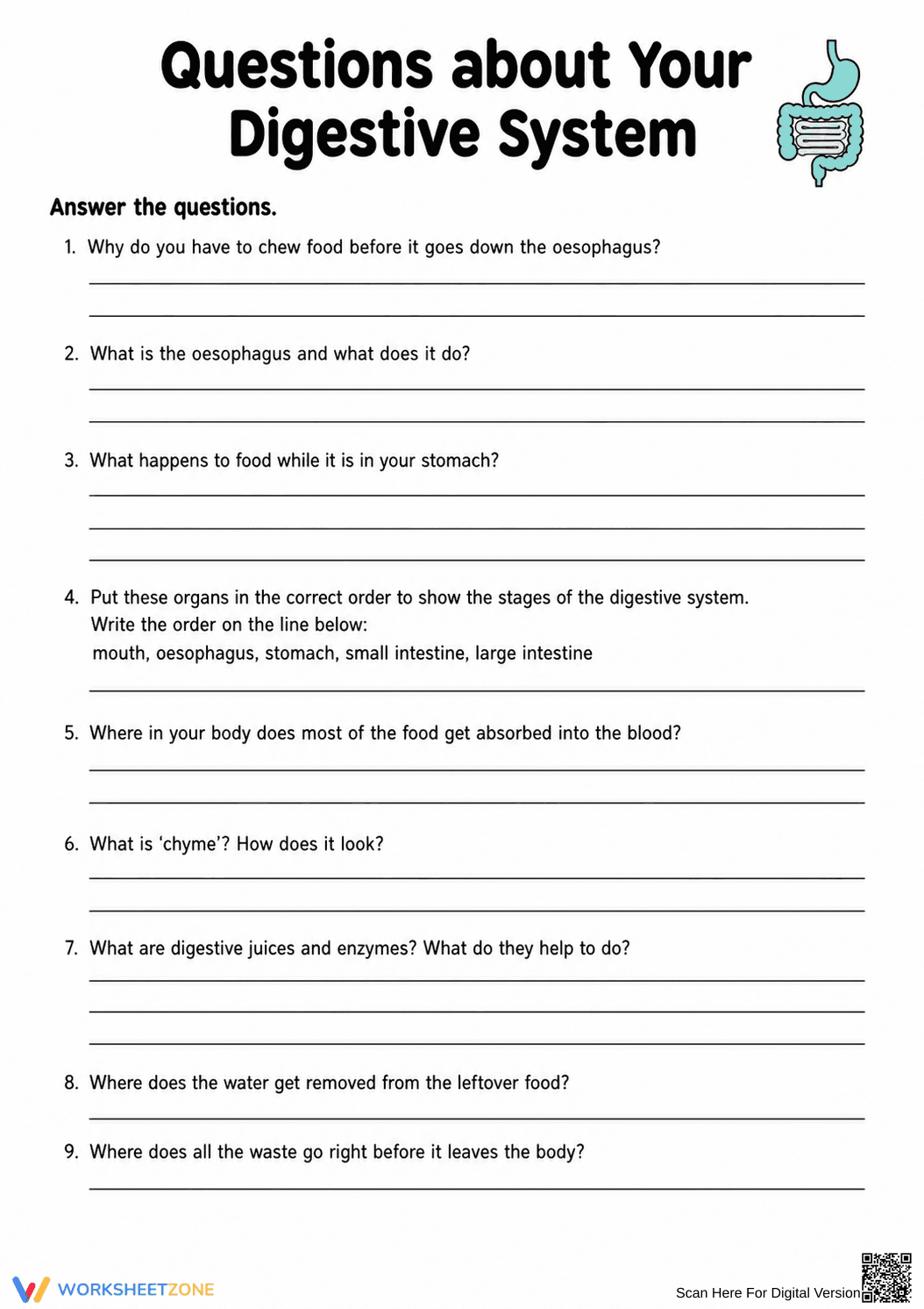 Digestive System Anatomy Worksheet | Grade 7 Essential - Page 7