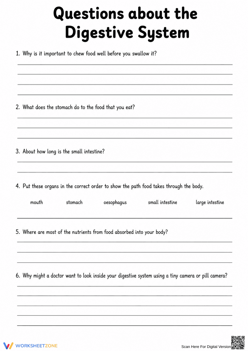 Digestive System Anatomy Worksheet | Grade 7 Essential - Page 9