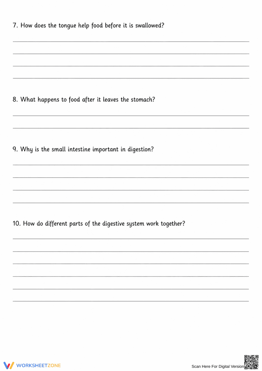 Digestive System Anatomy Worksheet | Grade 7 Essential - Page 10