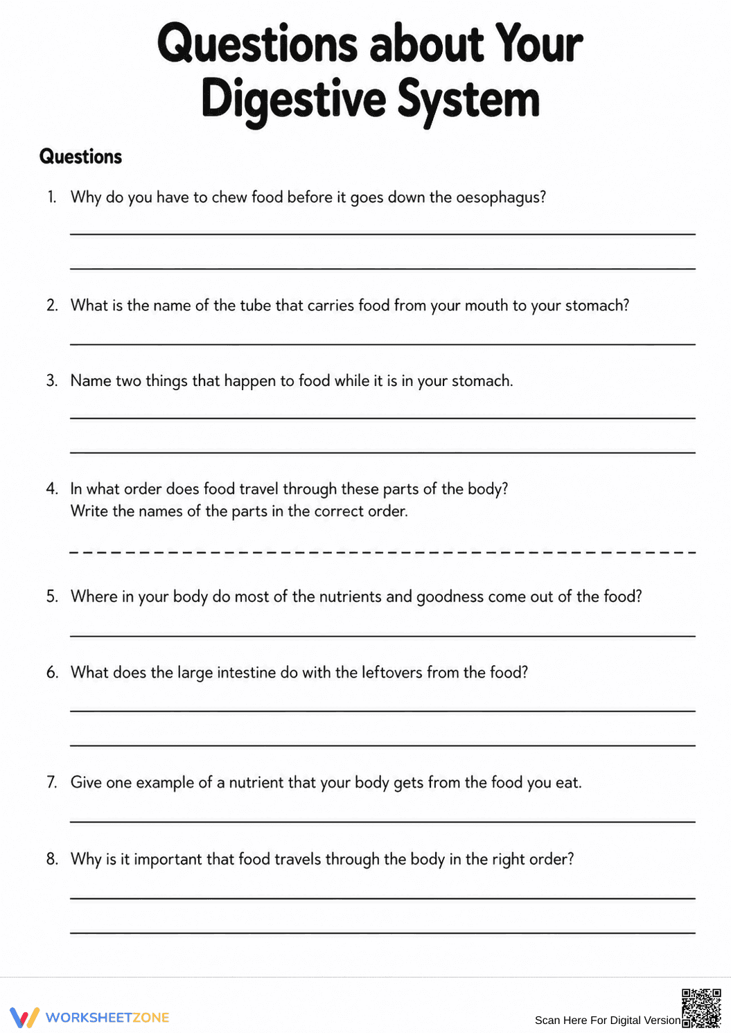 Digestive System Anatomy Worksheet | Grade 7 Essential - Page 11