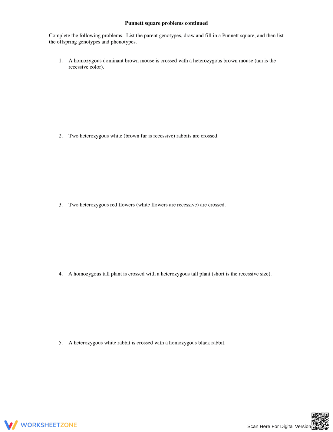 Punnett Square Genetics Practice Worksheet - Page 2