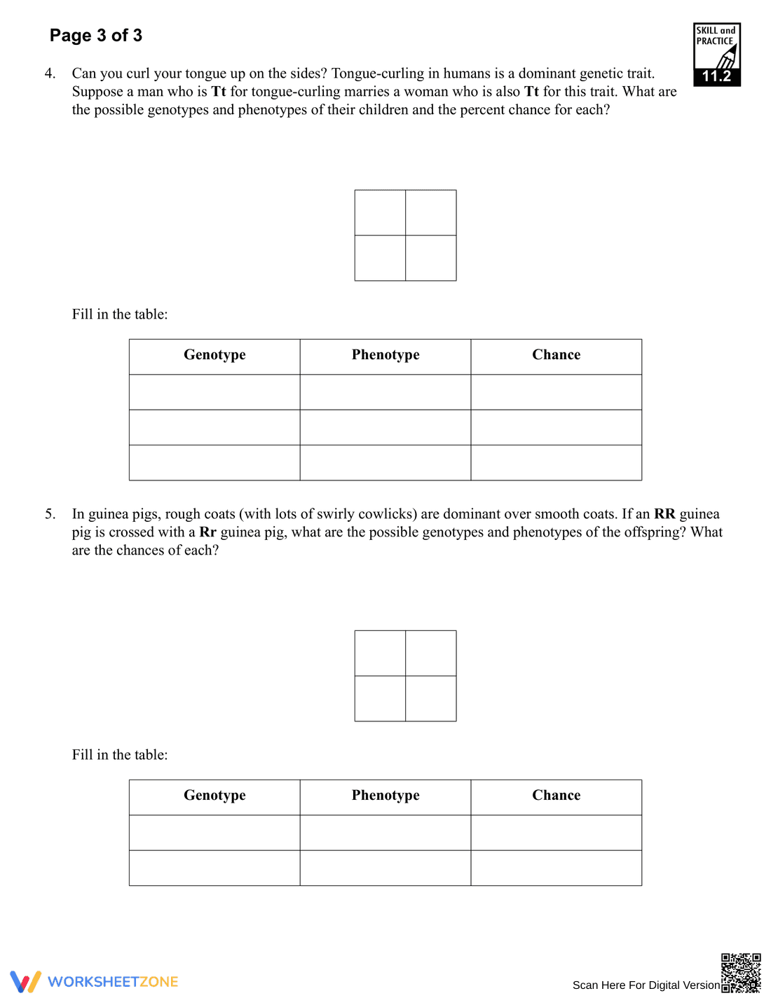 More Punnett Square Practice Problems - Page 3