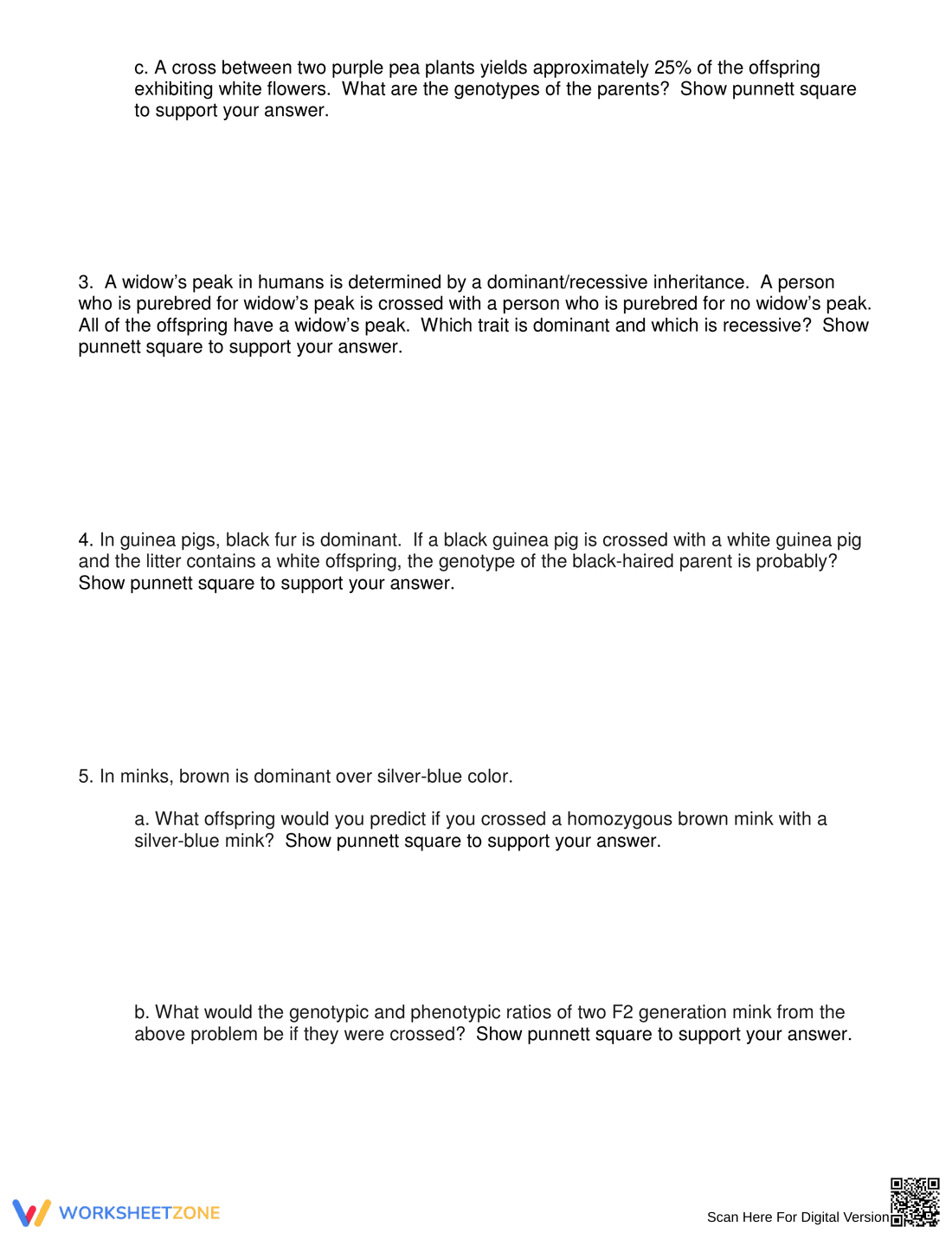 Punnett Square Practice – Biology Worksheet for Genetics - Page 2