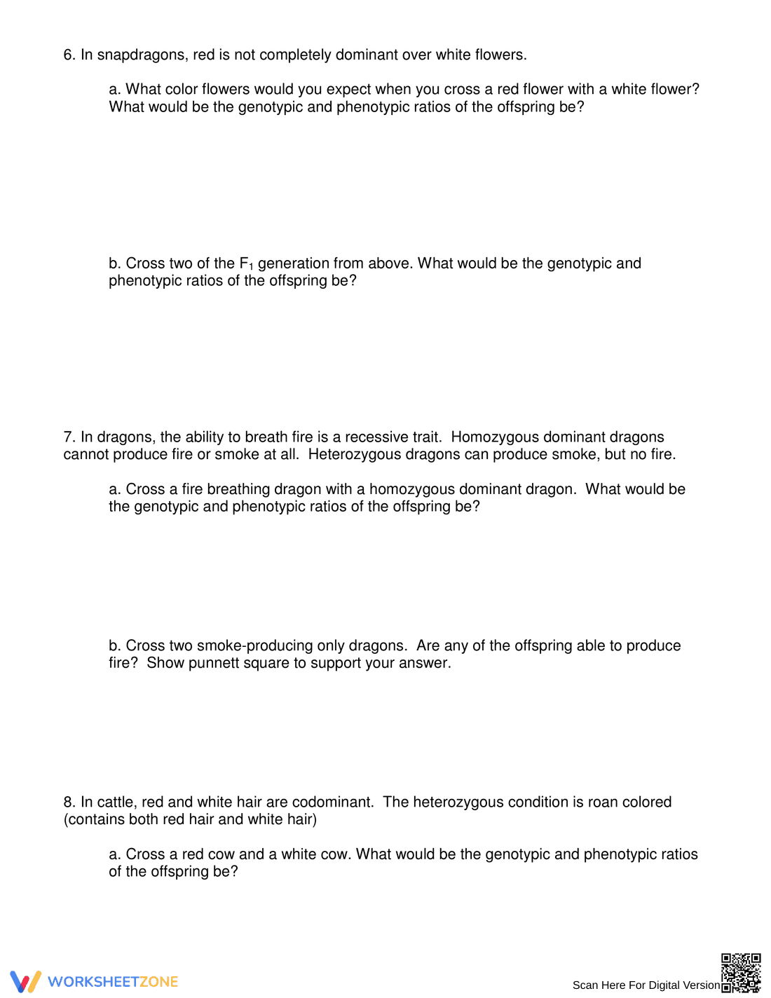 Punnett Square Practice – Biology Worksheet for Genetics - Page 3