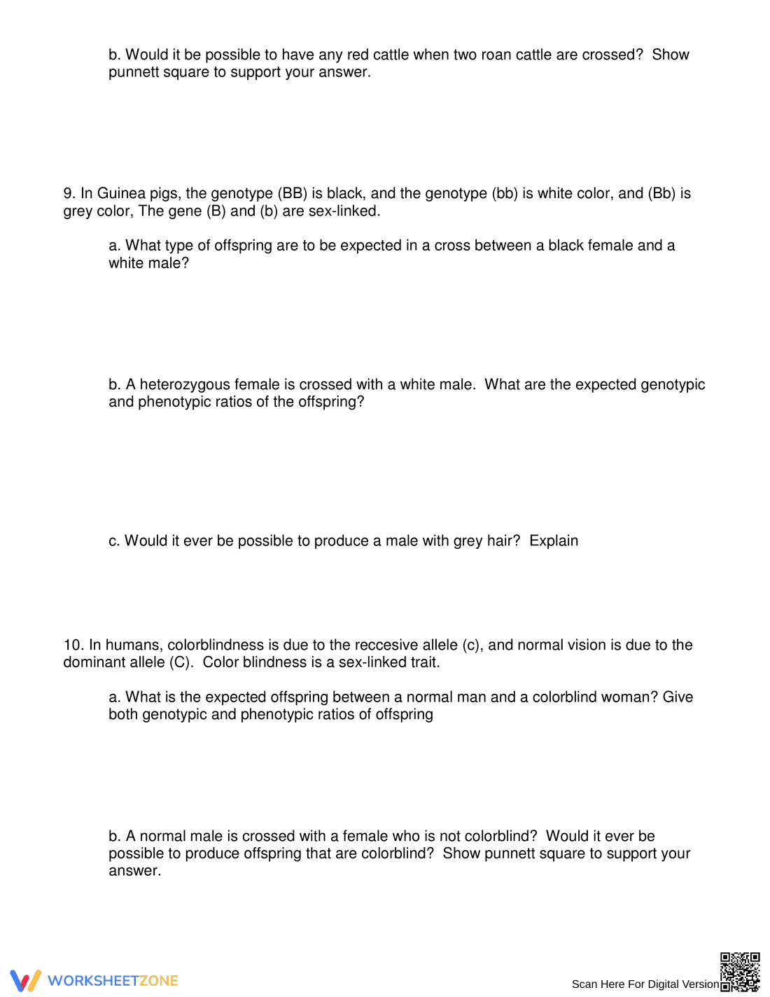 Punnett Square Practice – Biology Worksheet for Genetics - Page 4
