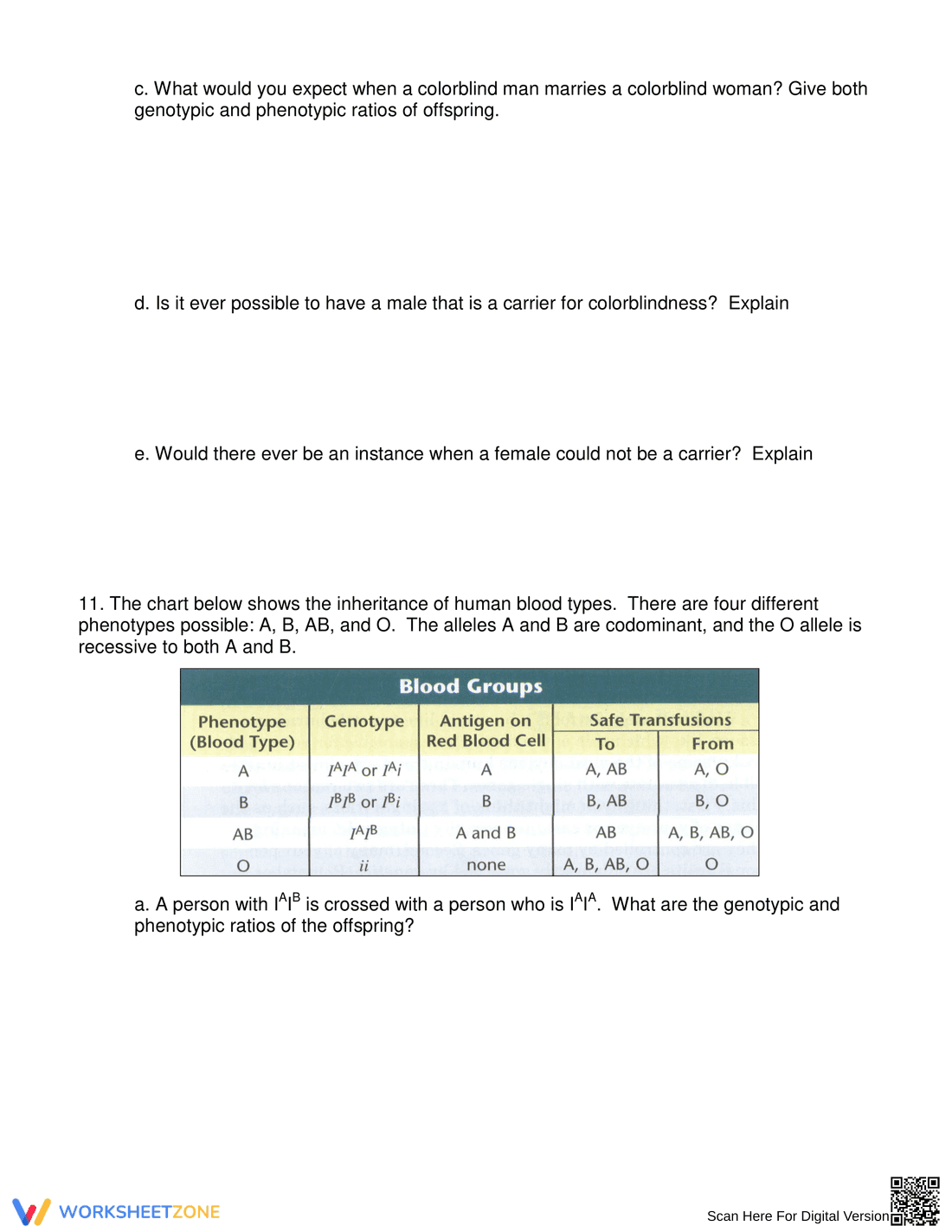 Punnett Square Practice – Biology Worksheet for Genetics - Page 5