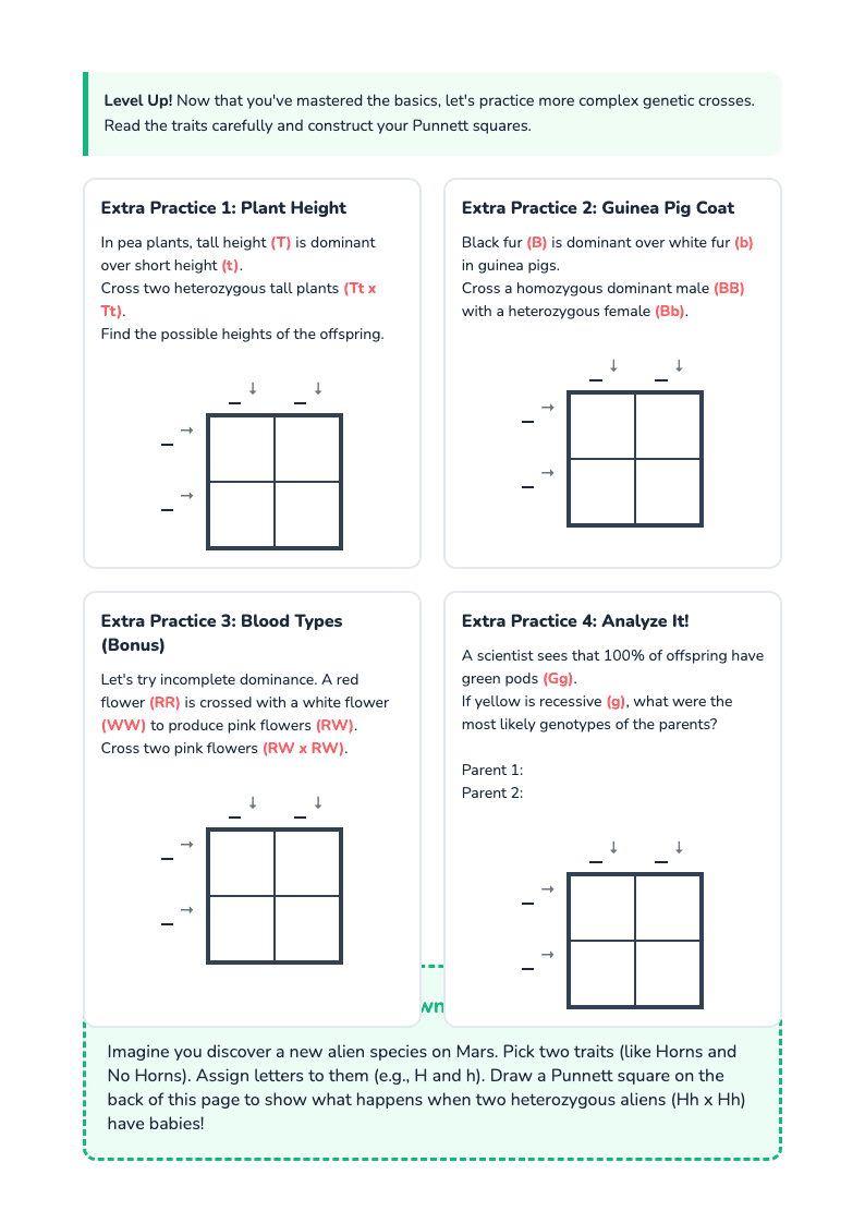 Genetics Practice: Punnett Square 1 - Page 2