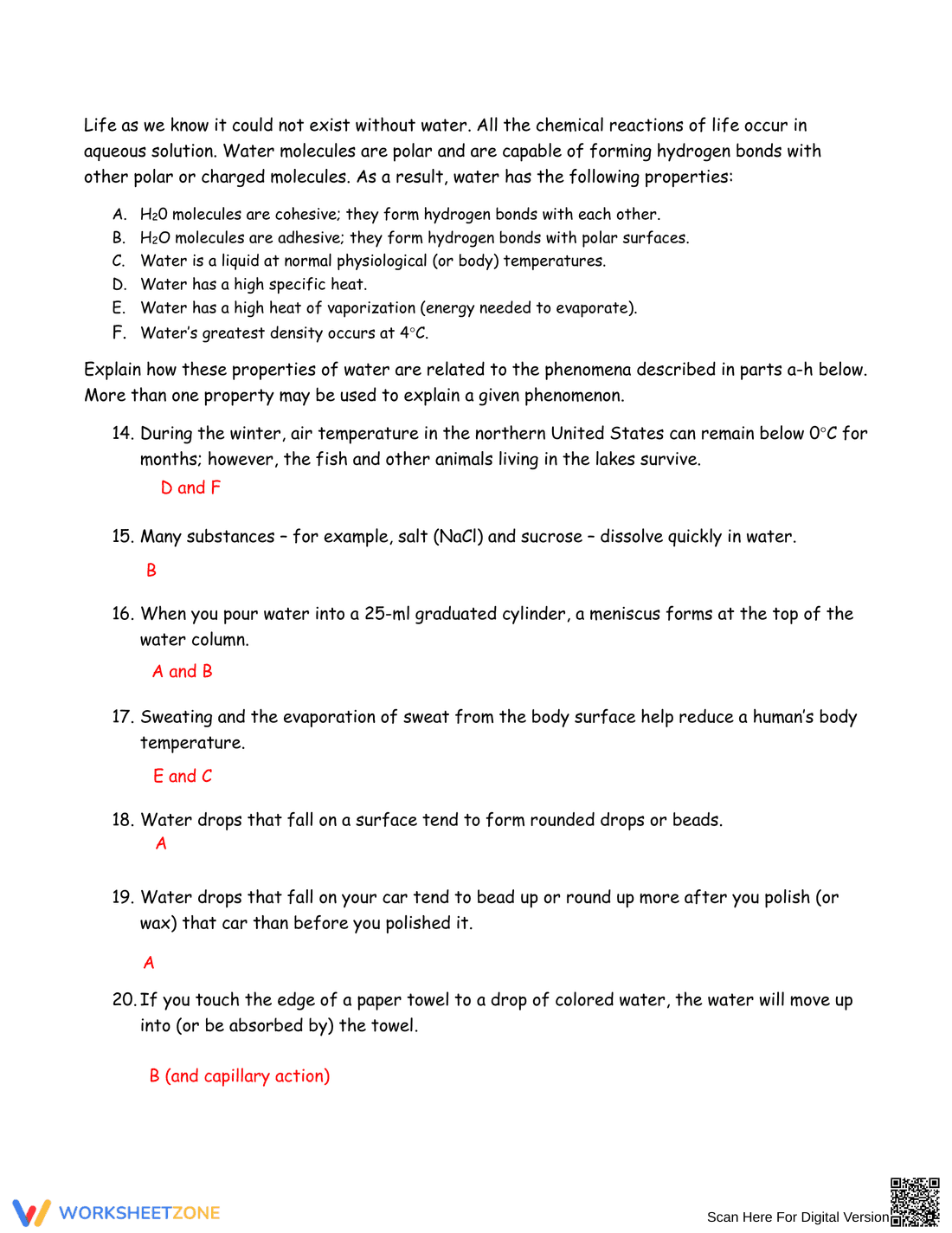 Properties of Water Practice | Essential Science Worksheet - Page 2