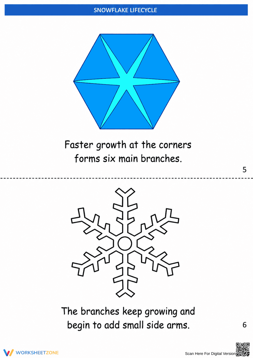 Grade 7-9 Snowflake Life Cycle — Printable No-Prep Guide - Page 2