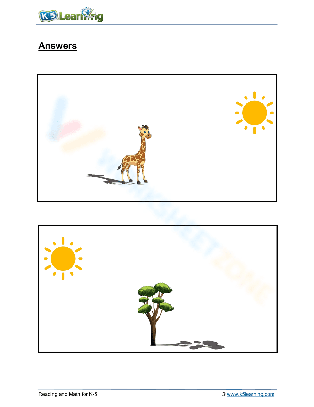 Exploring the Science of Shadows: Light Interactions - Page 2