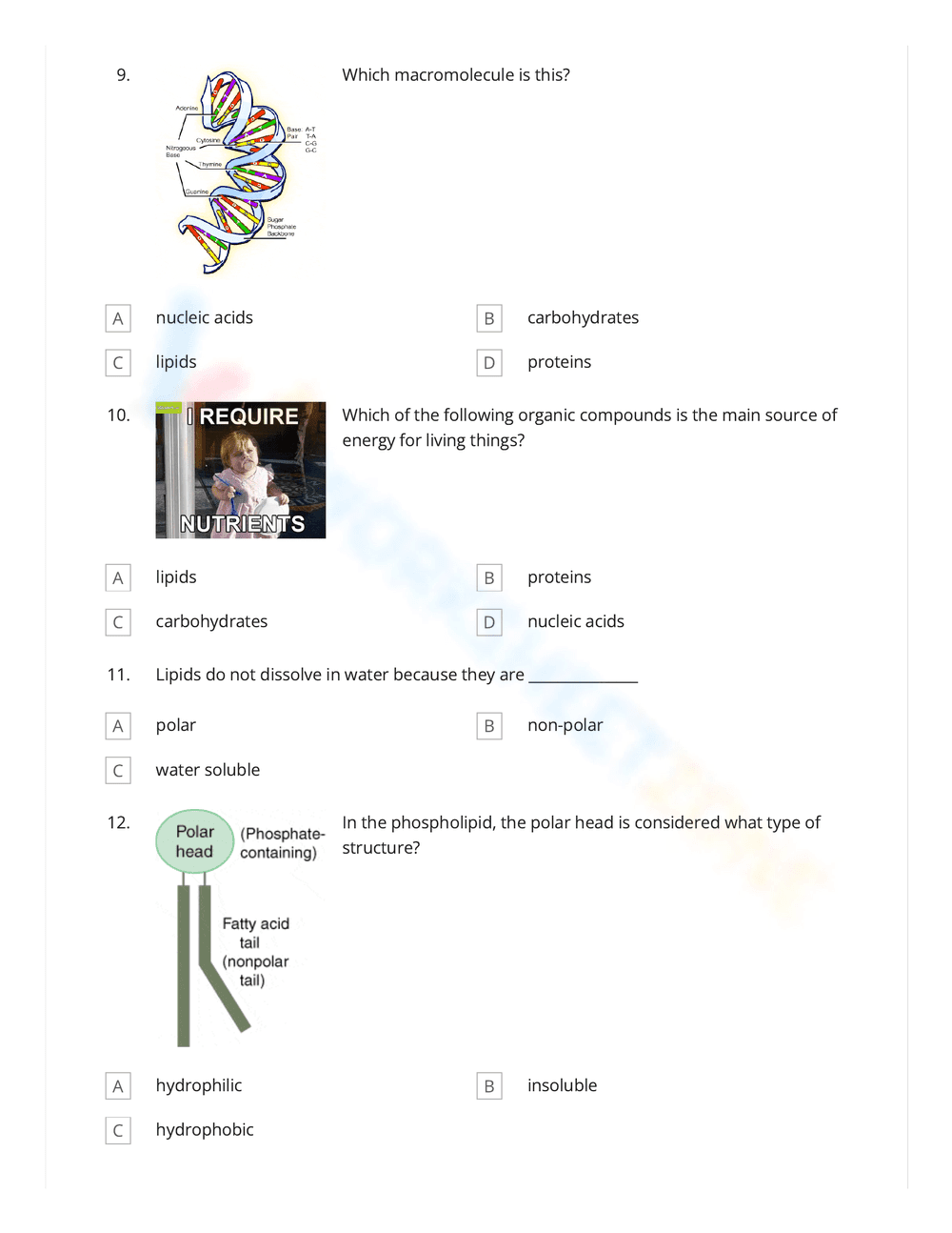 Explore Science Macromolecules Worksheet - Page 3