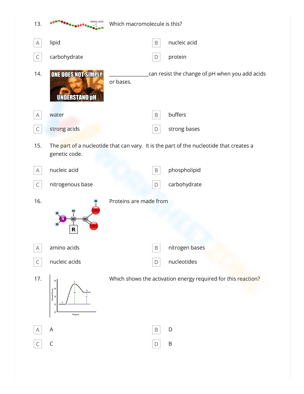 Explore Science Macromolecules Worksheet - Page 4