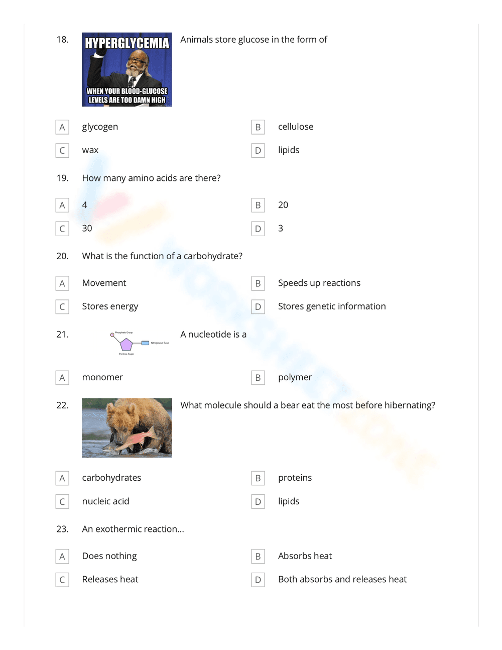 Explore Science Macromolecules Worksheet - Page 5
