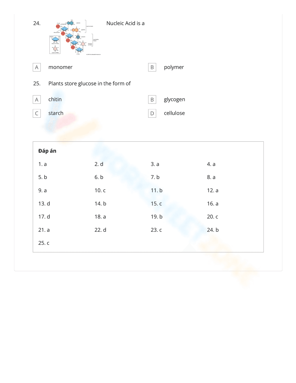 Explore Science Macromolecules Worksheet - Page 6