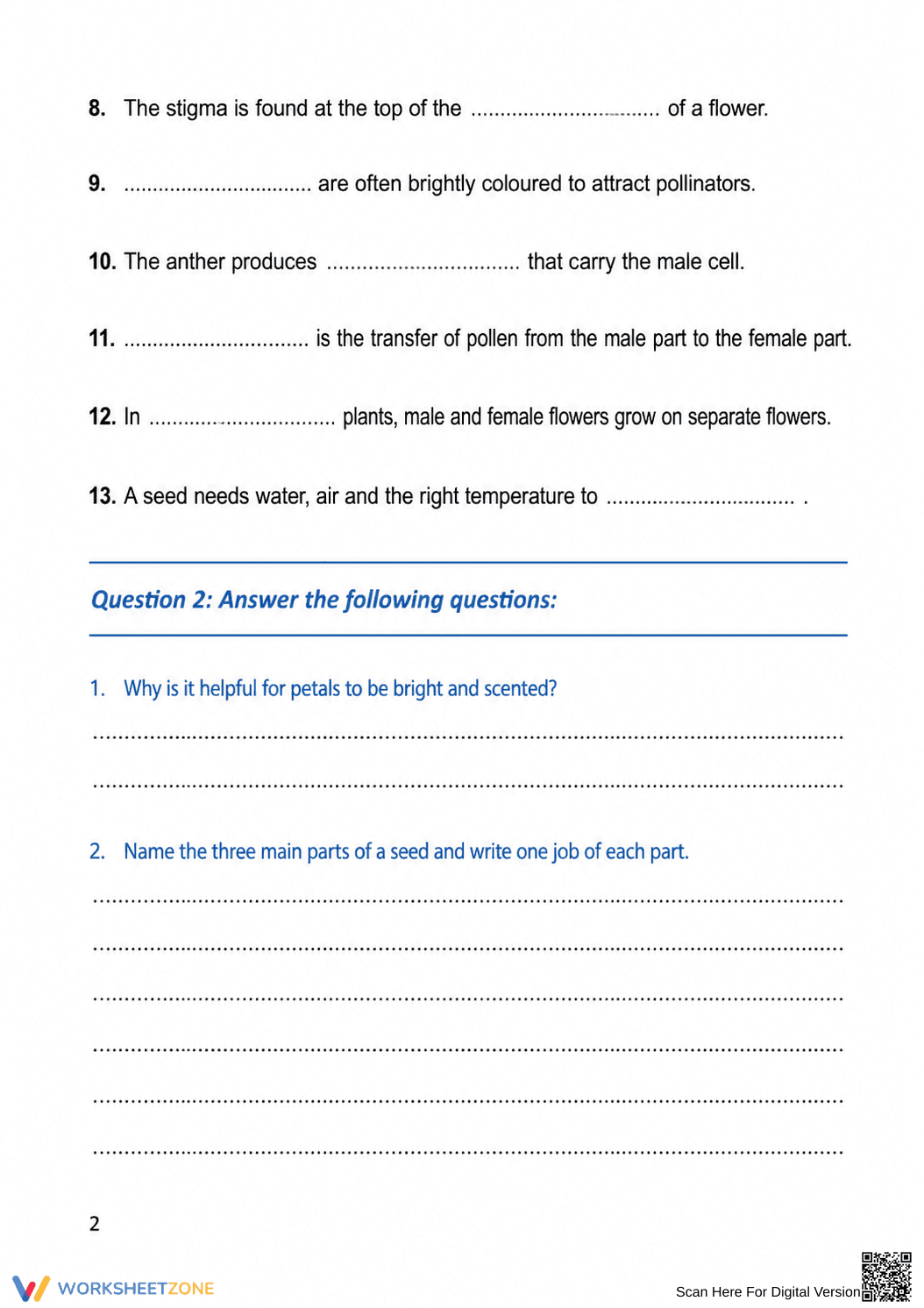 Grade 5 Plant Life Cycle — Printable No-Prep Worksheet - Page 2