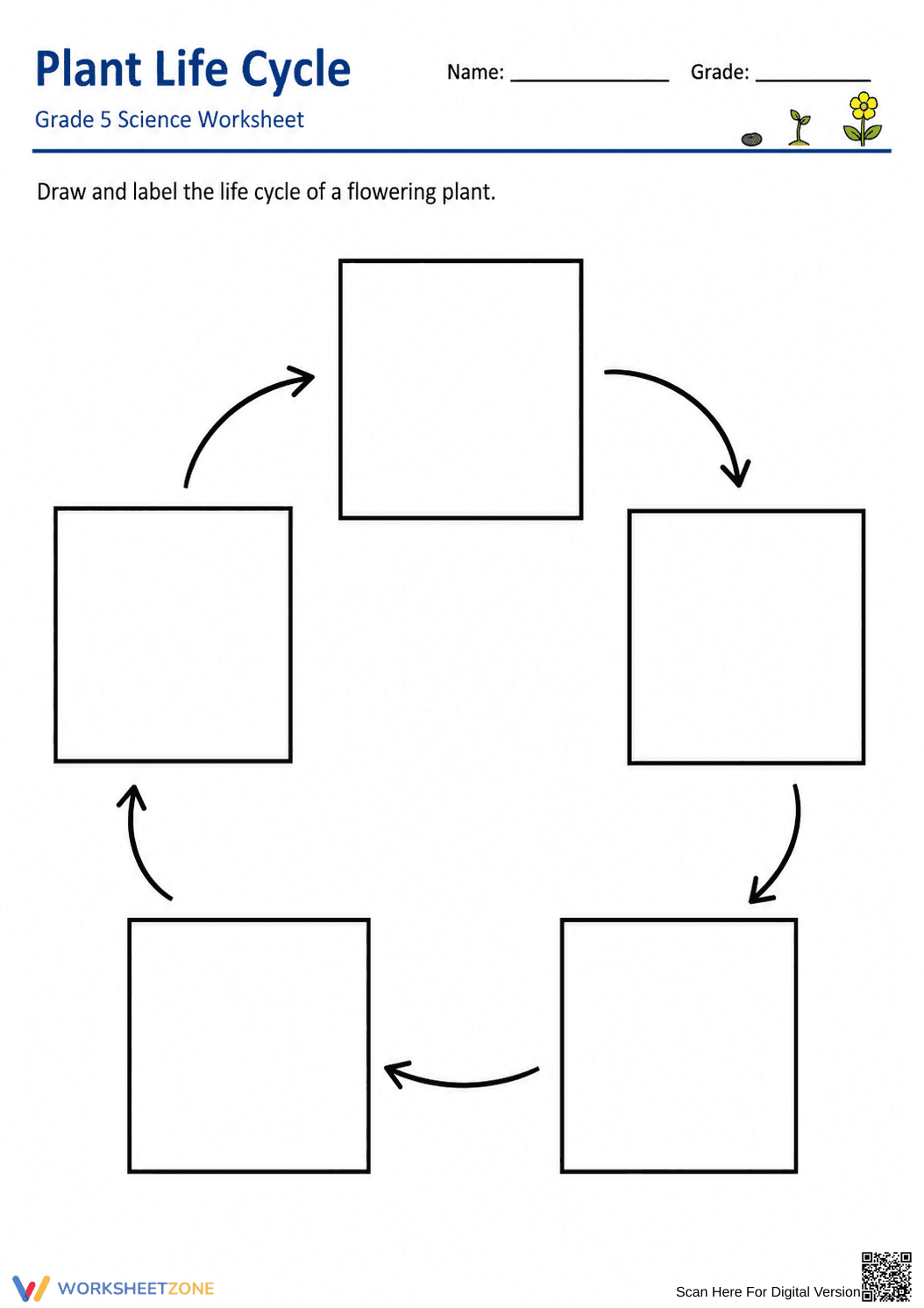 Grade 5 Plant Life Cycle — Printable No-Prep Worksheet - Page 3