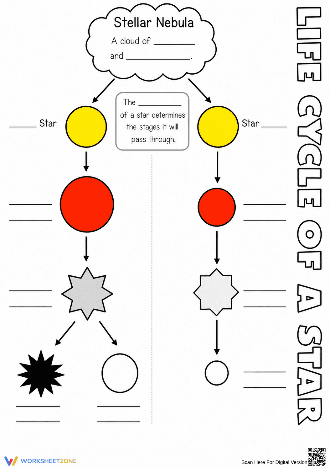 Star Life Cycle Notes Worksheet | Grade 6 Science Printable - Page 2