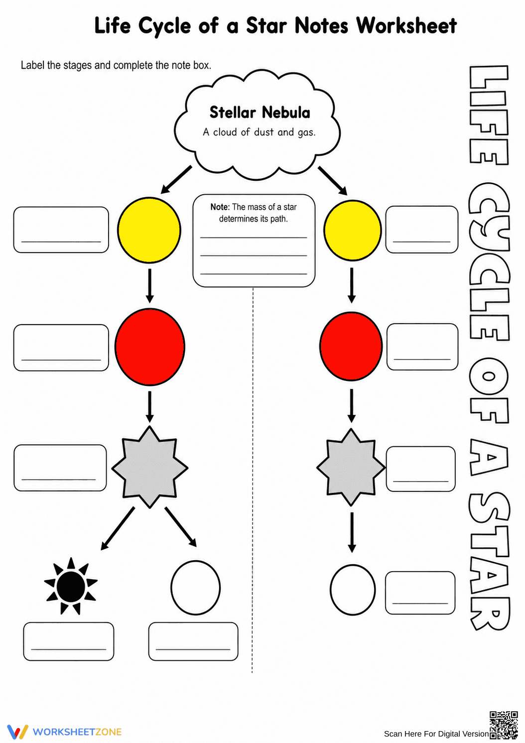 Star Life Cycle Notes Worksheet | Grade 6 Science Printable - Page 4